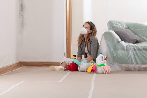 Reliable Black Mold Remediation contractor in New Berlin, IL by Car Mold Remediation